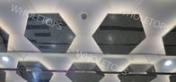 호화로운 상업 중심가를 위한 6 각형 장식적 1100 알루미늄 천장 패널